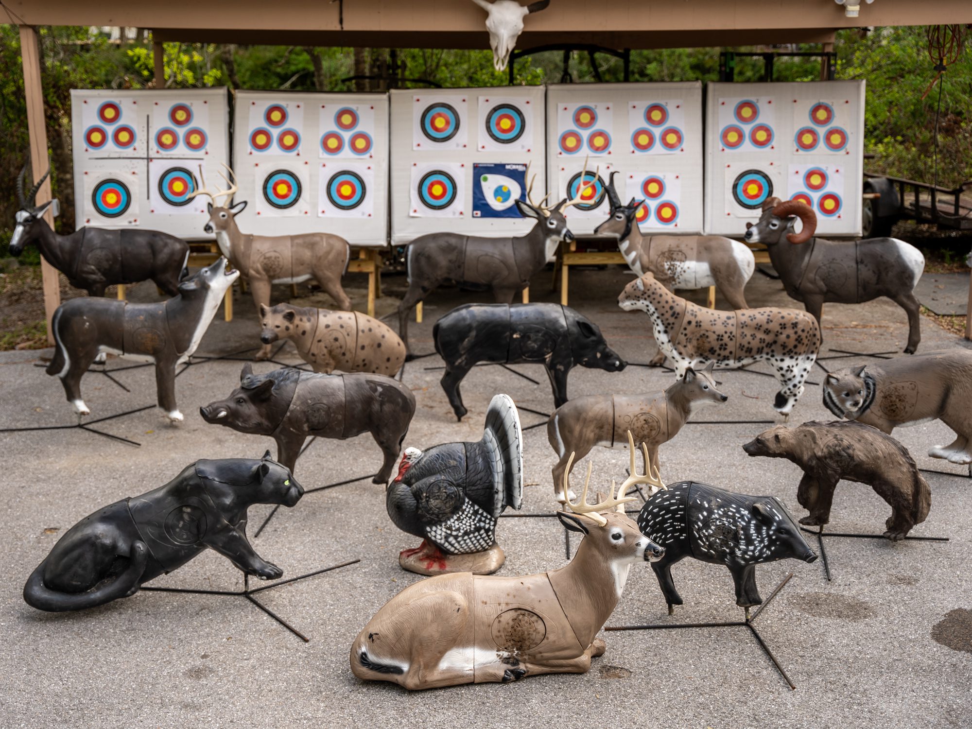 Your First Compound Bow in Florida: What Matters Most